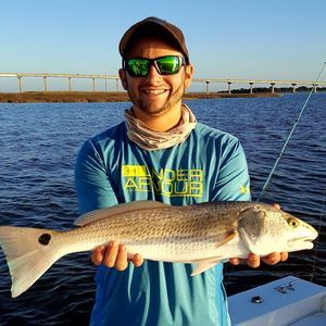 Meet your Posher, Kyle